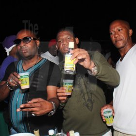 Wray & Nephew White Rum Bikini Sundayz (photo highlights)