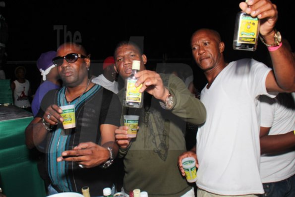 Wray & Nephew White Rum Bikini Sundayz (photo highlights)