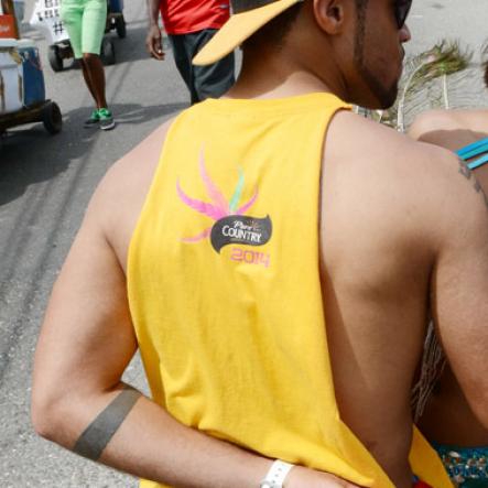 Rudolph Brown/Photographer
Carnival Road March in Kingston on Sunday, April 27, 2014