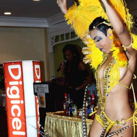 Winston Sill/Freelance Photographer
Bacchanal Jamaica presents the launch of Carnival 2014 Season under the theme "Conquest and Surrender", held at the Knutsford Court Hotel,  Ruthven Road on Tuesday night February 18, 2014.