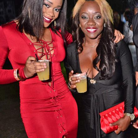 Smirnoff's Drinker's Paradise New Year's Eve party 2015 (photo highlights)