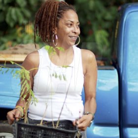 Contributed
Yolande Rattray Wright of Earthbound, promoter of Green 4 Life handing out trees.