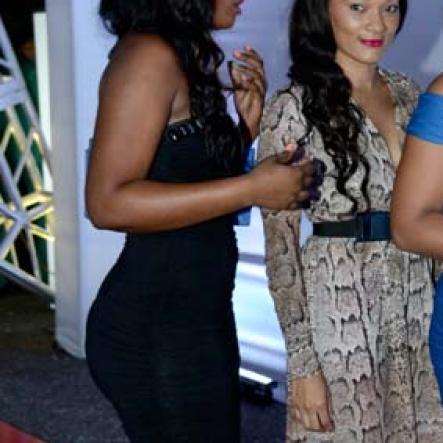 Winston Sill/Freelance Photographer
Hennessy v Anniversary Party, held at The Terrace Parking Lot, New Kingston on Saturday night November 9, 2013.