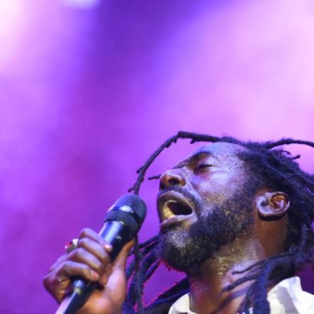buju8