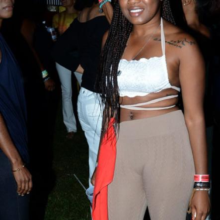 Winston Sill/Freelance Photographer
Appleton/Digicel Carnival Pon Di Road presents Pandemonium, held at Hope Gardens, Old Hope Road on Thursday night April 9, 2015.