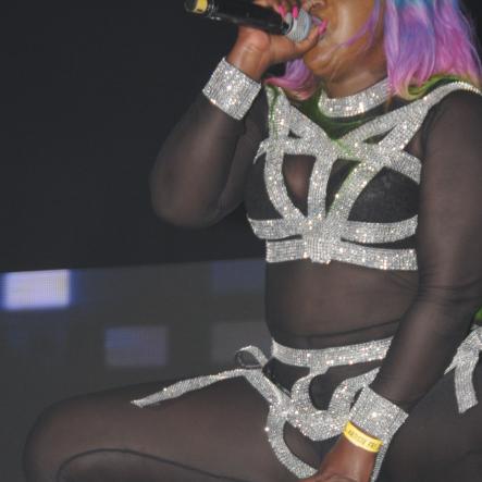 Reggae Sumfest 2016 - Dancehall Night