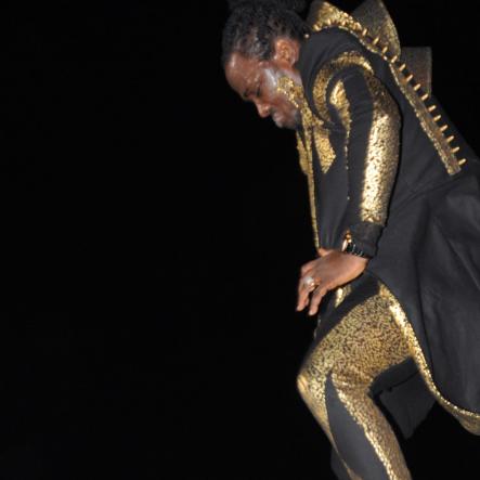 Reggae Sumfest 2016 - Dancehall Night