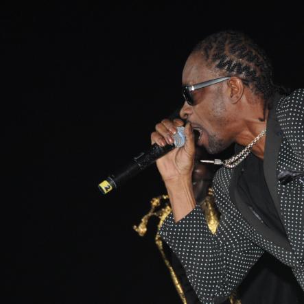 Reggae Sumfest 2016 - Dancehall Night