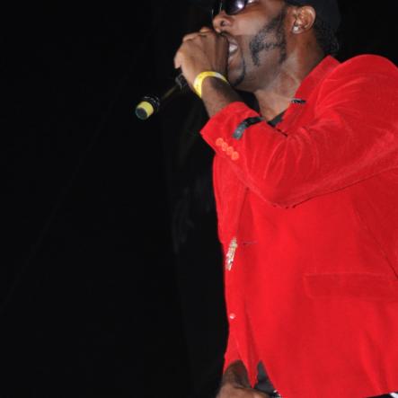 Reggae Sumfest 2016 - Dancehall Night