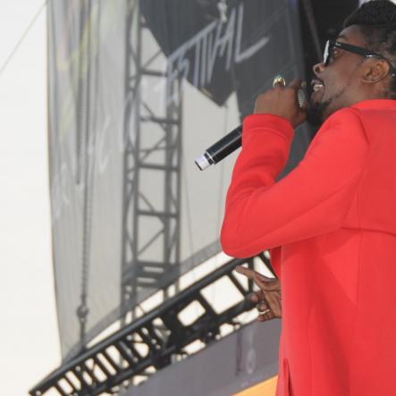 Reggae Sumfest 2016 - Dancehall Night