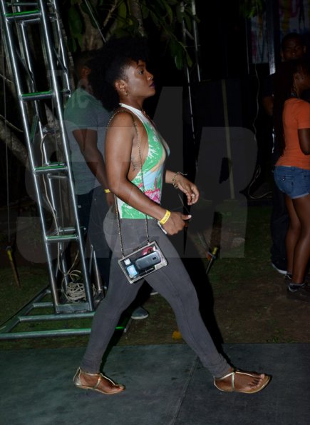 Winston Sill/Freelance Photographer
Soca vs Dancehall, Carnival at night Party, held at Hope Gardens, Old Hope Road on Saturday night April 5, 2014.