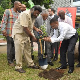 Jermaine Barnaby/Photographer
Professor Archibald McDonald (second left) pro vice chancellor and principal UWI assist Minister of Science, Technology, Energy and Mining, Phillip Paulwell in planting a ganja tree at the launch for the symbolic planting of the first legal Marijuana Plant at the Lecture Theatre Two (2) , Faculty of Medical Sciences Teaching and Research Complex on Monday April 20, 2015. Also partaking is Louis Moyston (left front with shovel) research fellow, UWI, Courtney Betty (left back row) president and CEO Timeless Herbal Care, JLP representative, Delano Seiveright (second left back row) and Basil Hylton, herbalist.