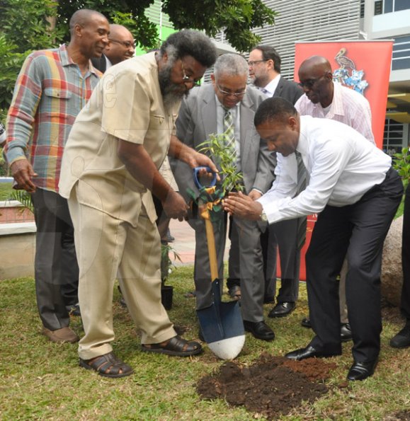 Jermaine Barnaby/Photographer
Professor Archibald McDonald (second left) pro vice chancellor and principal UWI assist Minister of Science, Technology, Energy and Mining, Phillip Paulwell in planting a ganja tree at the launch for the symbolic planting of the first legal Marijuana Plant at the Lecture Theatre Two (2) , Faculty of Medical Sciences Teaching and Research Complex on Monday April 20, 2015. Also partaking is Louis Moyston (left front with shovel) research fellow, UWI, Courtney Betty (left back row) president and CEO Timeless Herbal Care, JLP representative, Delano Seiveright (second left back row) and Basil Hylton, herbalist.