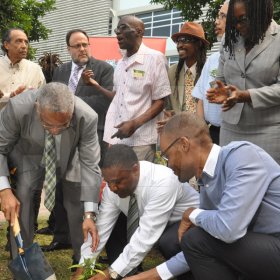 Jermaine Barnaby/Photographer
Professor Archibald McDonald (left) pro vice chancellor and principal UWI oversees Minister of Science, Technology, Energy and Mining, Phillip Paulwell putting the finishing touch to a ganja tree he planted at the launch for the symbolic planting of the first legal Marijuana Plant at the Lecture Theatre Two (2) , Faculty of Medical Sciences Teaching and Research Complex on Monday April 20, 2015. At right is Raymond Pryce and Angella Brown Burke, Mayor of Kingston.