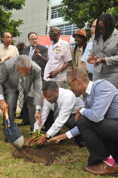Jermaine Barnaby/Photographer
Professor Archibald McDonald (left) pro vice chancellor and principal UWI oversees Minister of Science, Technology, Energy and Mining, Phillip Paulwell putting the finishing touch to a ganja tree he planted at the launch for the symbolic planting of the first legal Marijuana Plant at the Lecture Theatre Two (2) , Faculty of Medical Sciences Teaching and Research Complex on Monday April 20, 2015. At right is Raymond Pryce and Angella Brown Burke, Mayor of Kingston.