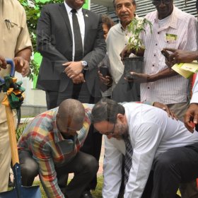 Jermaine Barnaby/Photographer
Minister of Justice Mark Golding (right) and Courtney Betty (left) president and CEO of Timeless Herbal Care both jointly plant a ganja tree at the launch for the symbolic planting of the first legal Marijuana Plant at the Lecture Theatre Two (2) , Faculty of Medical Sciences Teaching and Research Complex on Monday April 20, 2015. Overseeing the activities is at back JLP representative, Delano Seiveright, Dicky Crawford and Basil Hylton, herbalist.