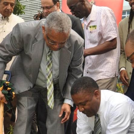 uwi-ganja-planting-